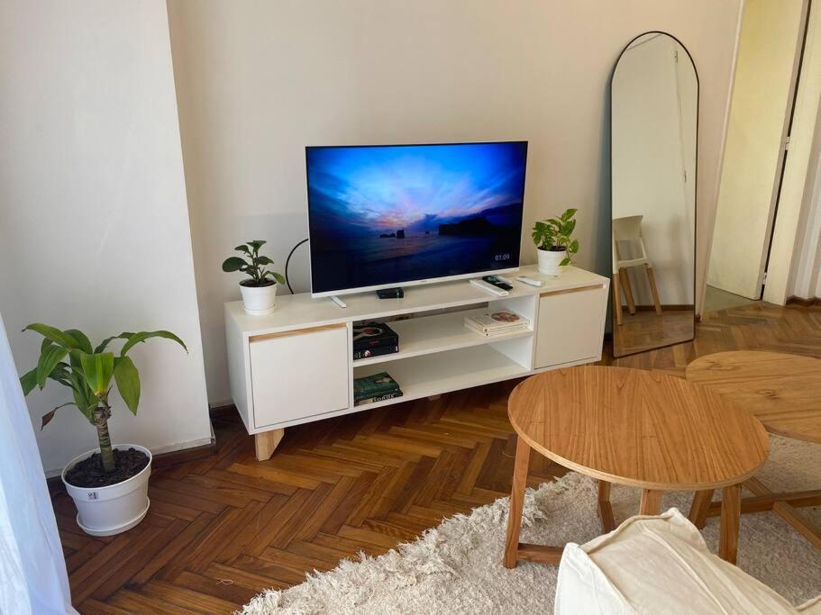 Canitas Apartment Buenos Aires